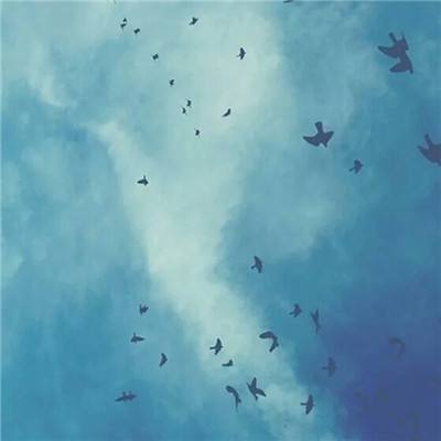 BET9登录APP手机app下载截图