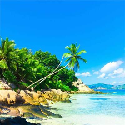 澳门2023全年免费资料大全app下载